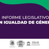 Informe Legislativo en Igualdad de Género